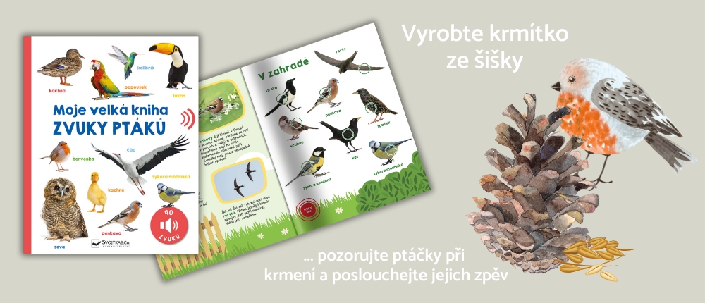 Moje velká kniha Zvuky ptáků